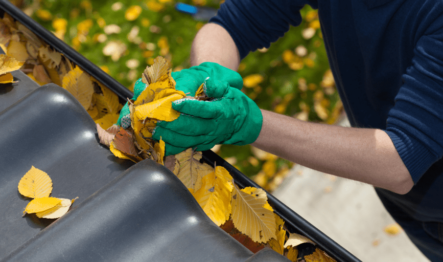 Alpine King Exteriors